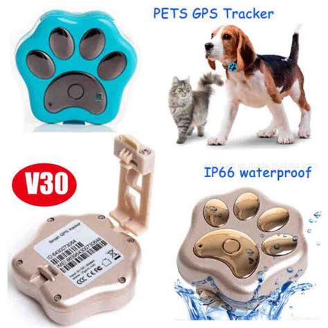 are smart bones safe for dog made in china